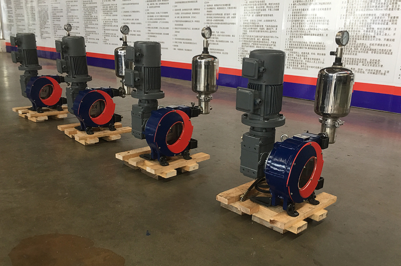 A group customized several hose pumps with dampers from our company